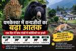 यमकेश्वर में पशुपालकों पर दोहरी मार, वन्यजीवों के हमलों से बढ़ी परेशानी
